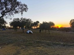 2023-09-29 SALAMANDRA II